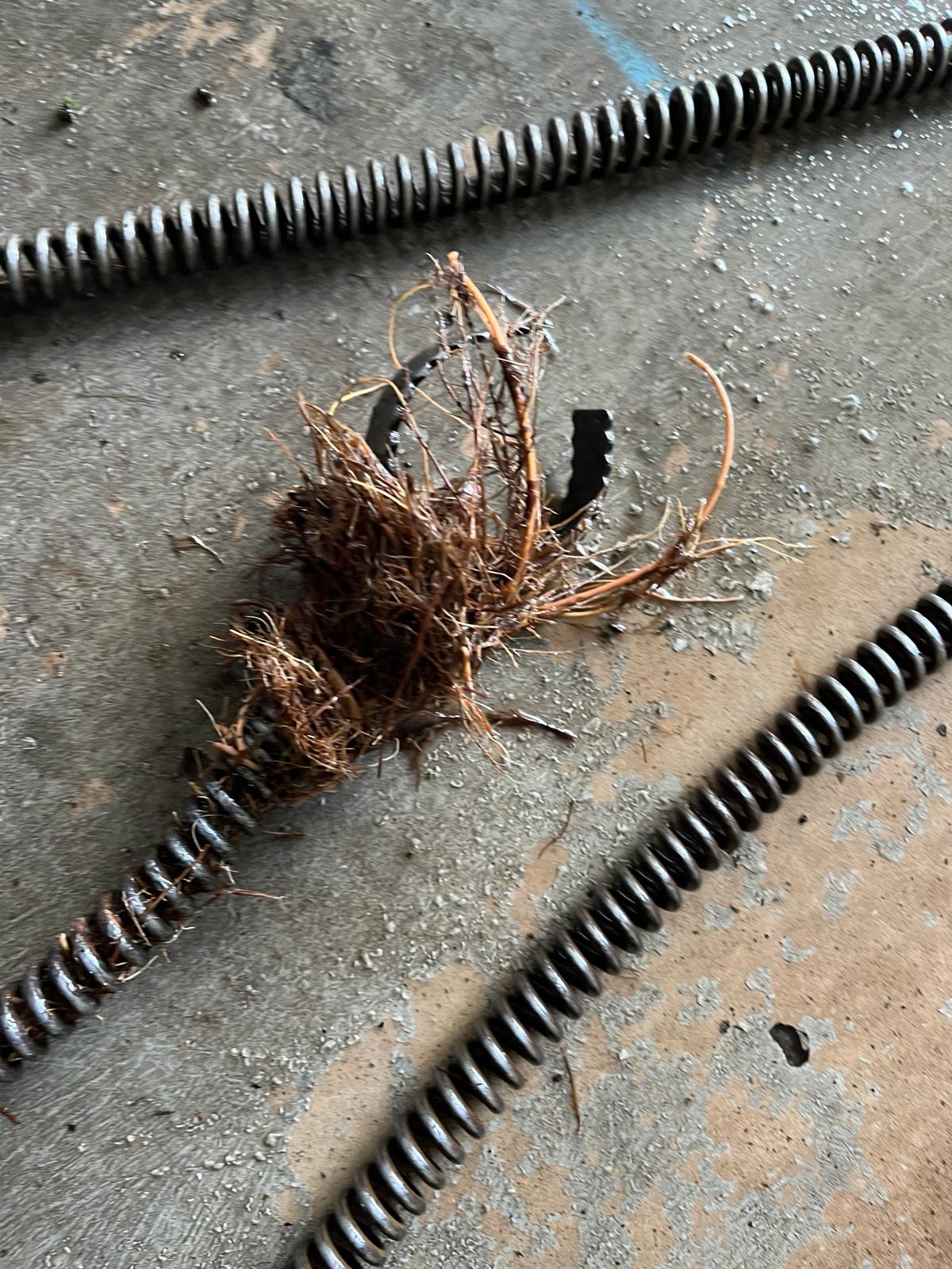 Erfolgreiche Entfernung von Wurzeleinwuchs aus einem Abwasserrohr mittels mechanischer Rohrreinigungsspirale und Fräskopf.